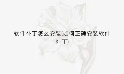 软件补丁怎么安装(如何正确安装软件补丁)