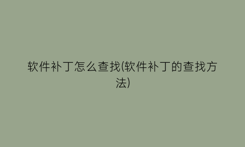 “软件补丁怎么查找(软件补丁的查找方法)