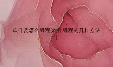 软件要怎么编程(软件编程的几种方法)