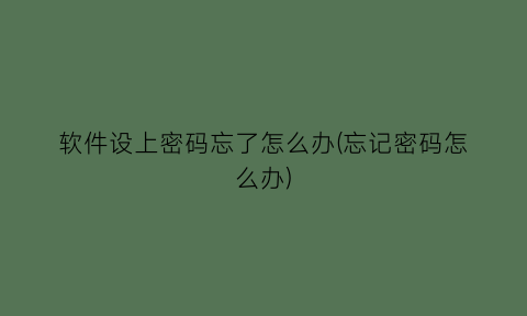 软件设上密码忘了怎么办(忘记密码怎么办)