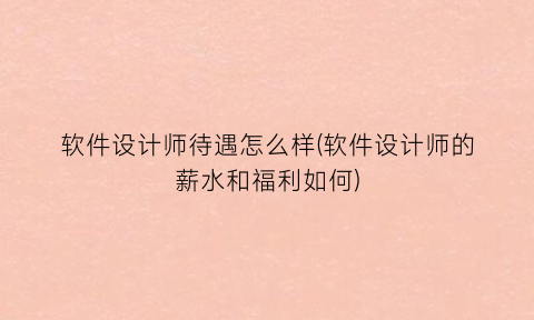 软件设计师待遇怎么样(软件设计师的薪水和福利如何)