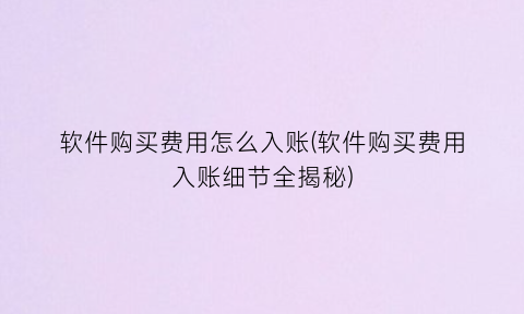 软件购买费用怎么入账(软件购买费用入账细节全揭秘)