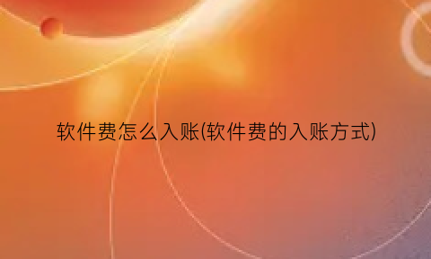 软件费怎么入账(软件费的入账方式)