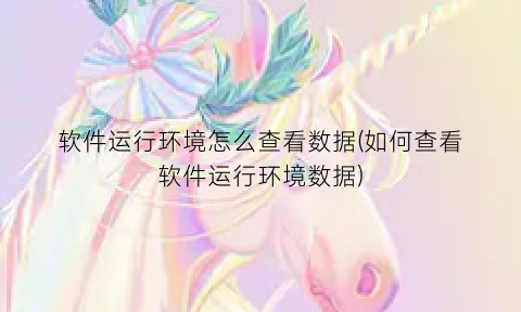 软件运行环境怎么查看数据(如何查看软件运行环境数据)