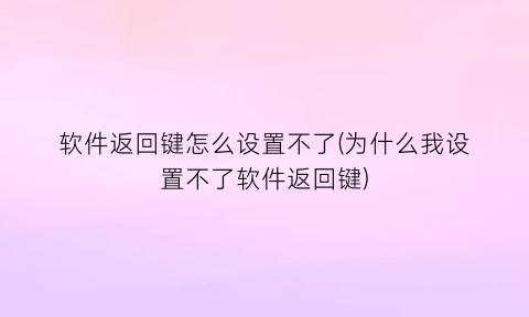 软件返回键怎么设置不了(为什么我设置不了软件返回键)