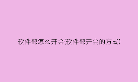 软件部怎么开会(软件部开会的方式)