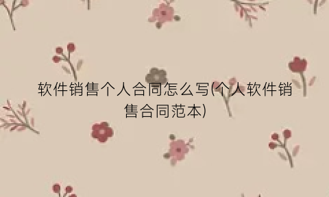 “软件销售个人合同怎么写(个人软件销售合同范本)