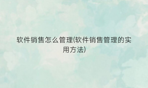 软件销售怎么管理(软件销售管理的实用方法)