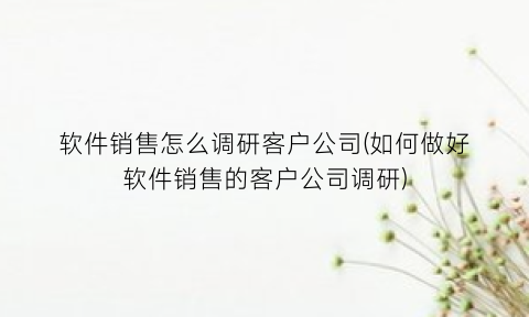 软件销售怎么调研客户公司(如何做好软件销售的客户公司调研)