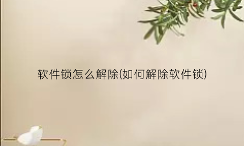 软件锁怎么解除(如何解除软件锁)