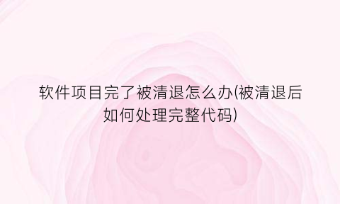 软件项目完了被清退怎么办(被清退后如何处理完整代码)