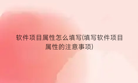 “软件项目属性怎么填写(填写软件项目属性的注意事项)