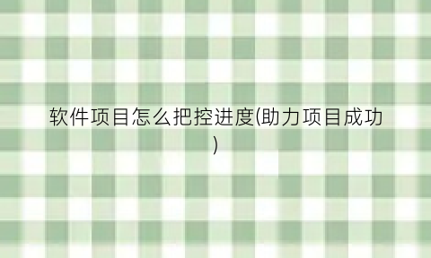“软件项目怎么把控进度(助力项目成功)