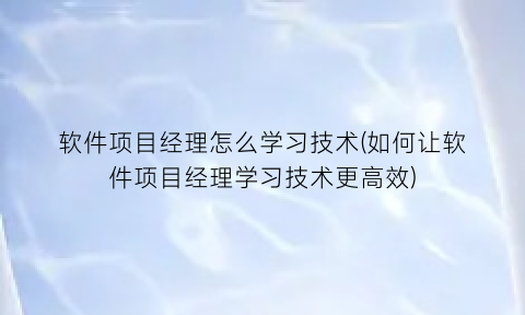 软件项目经理怎么学习技术(如何让软件项目经理学习技术更高效)