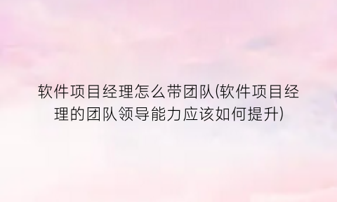 软件项目经理怎么带团队(软件项目经理的团队领导能力应该如何提升)