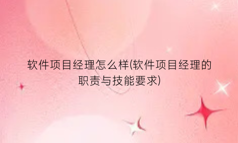 “软件项目经理怎么样(软件项目经理的职责与技能要求)