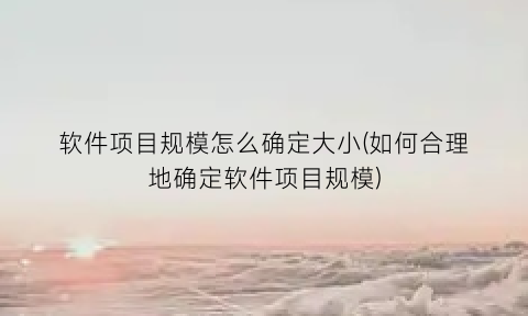 “软件项目规模怎么确定大小(如何合理地确定软件项目规模)