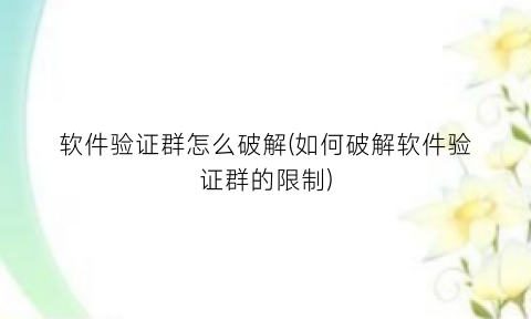 “软件验证群怎么破解(如何破解软件验证群的限制)