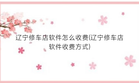 辽宁修车店软件怎么收费(辽宁修车店软件收费方式)