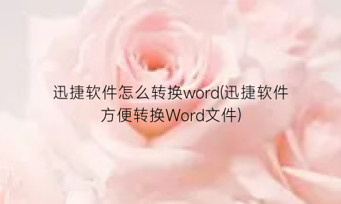 “迅捷软件怎么转换word(迅捷软件方便转换Word文件)