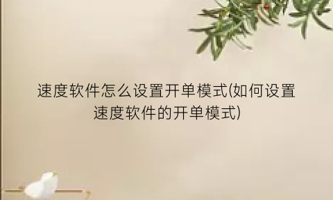 速度软件怎么设置开单模式(如何设置速度软件的开单模式)