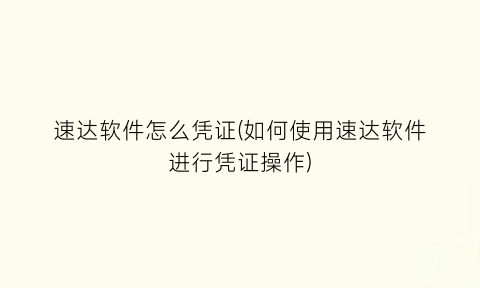 “速达软件怎么凭证(如何使用速达软件进行凭证操作)