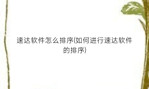 速达软件怎么排序(如何进行速达软件的排序)