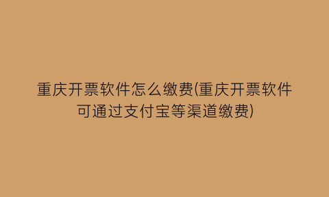 重庆开票软件怎么缴费(重庆开票软件可通过支付宝等渠道缴费)