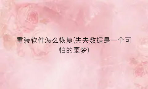 重装软件怎么恢复(失去数据是一个可怕的噩梦)