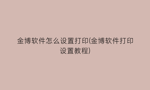 金博软件怎么设置打印(金博软件打印设置教程)