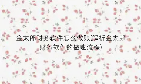 “金太郎财务软件怎么做账(解析金太郎财务软件的做账流程)