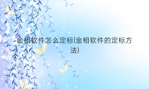 金相软件怎么定标(金相软件的定标方法)