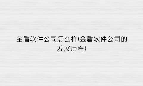 金盾软件公司怎么样(金盾软件公司的发展历程)