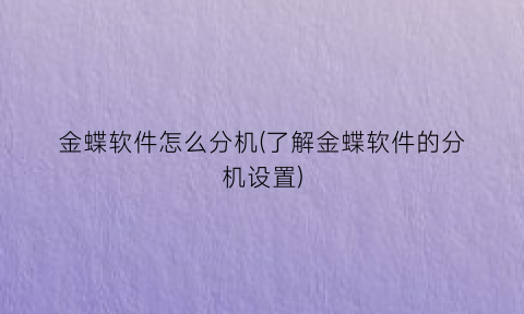 金蝶软件怎么分机(了解金蝶软件的分机设置)