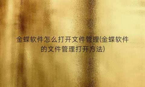 “金蝶软件怎么打开文件管理(金蝶软件的文件管理打开方法)