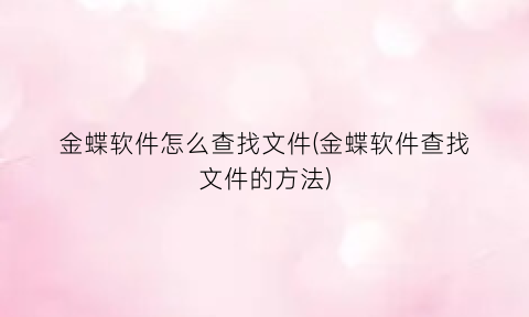 金蝶软件怎么查找文件(金蝶软件查找文件的方法)