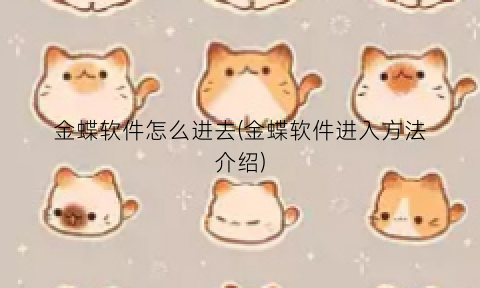 “金蝶软件怎么进去(金蝶软件进入方法介绍)