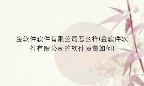 金软件软件有限公司怎么样(金软件软件有限公司的软件质量如何)
