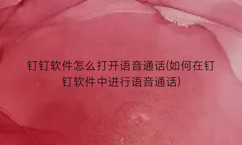 钉钉软件怎么打开语音通话(如何在钉钉软件中进行语音通话)