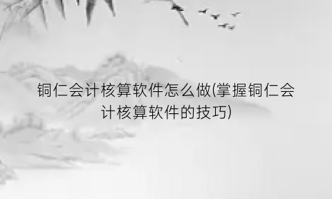 铜仁会计核算软件怎么做(掌握铜仁会计核算软件的技巧)