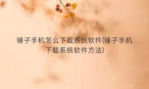 “锤子手机怎么下载系统软件(锤子手机下载系统软件方法)