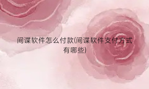 “间谍软件怎么付款(间谍软件支付方式有哪些)