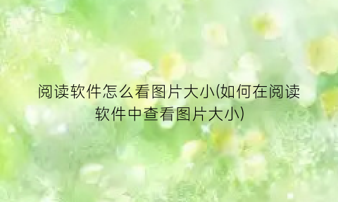 阅读软件怎么看图片大小(如何在阅读软件中查看图片大小)