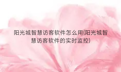 “阳光城智慧访客软件怎么用(阳光城智慧访客软件的实时监控)