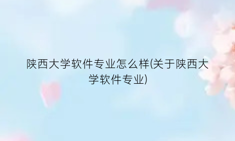 陕西大学软件专业怎么样(关于陕西大学软件专业)