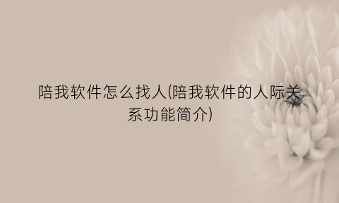 陪我软件怎么找人(陪我软件的人际关系功能简介)