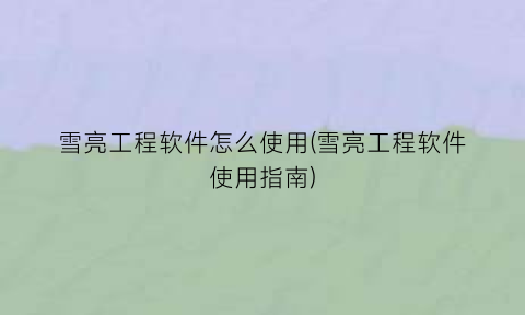 “雪亮工程软件怎么使用(雪亮工程软件使用指南)