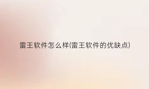 “雷王软件怎么样(雷王软件的优缺点)