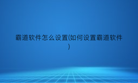 “霸道软件怎么设置(如何设置霸道软件)