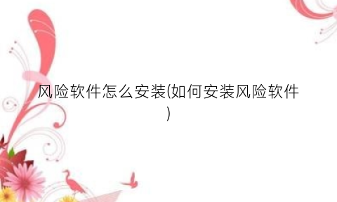 “风险软件怎么安装(如何安装风险软件)
